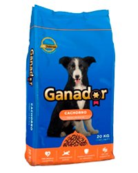 Alimento para perro ganador