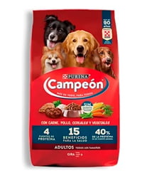 Croquetas Campeon adulto