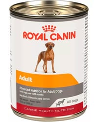 Croquetas Royal Canin adulto