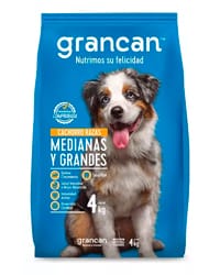 croquetas grancan cachorro