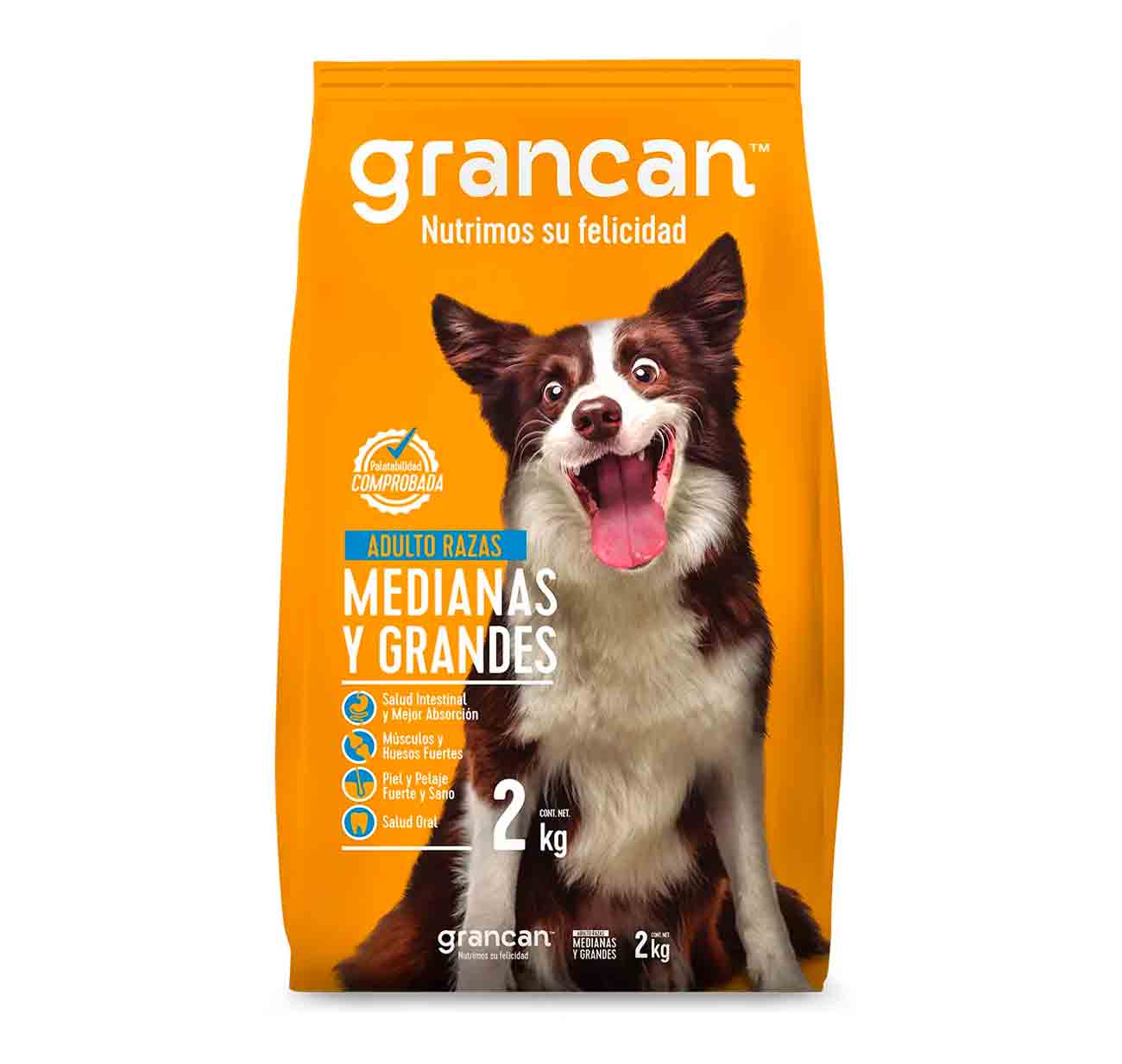 Gran Can