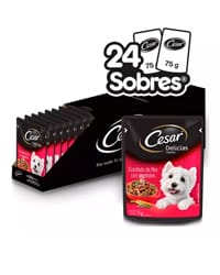 Croquetas Cesar adulto