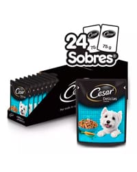 Croquetas Cesar adulto